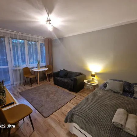 Wapienna Apartment