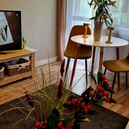 Wapienna Apartment Lodz