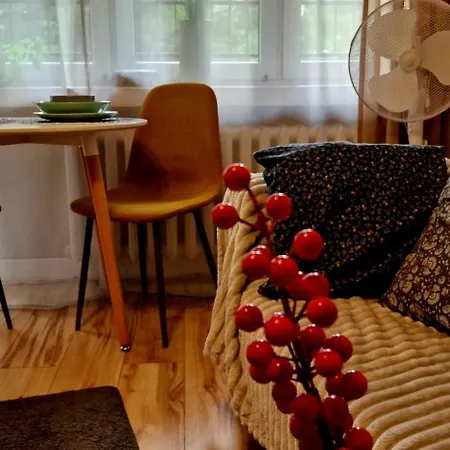 Apartment Wapienna *