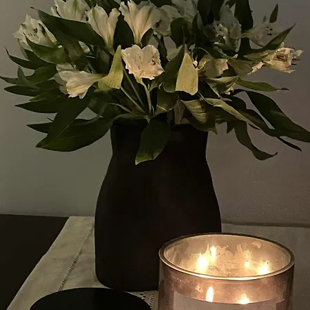 Wapienna 아파트 *