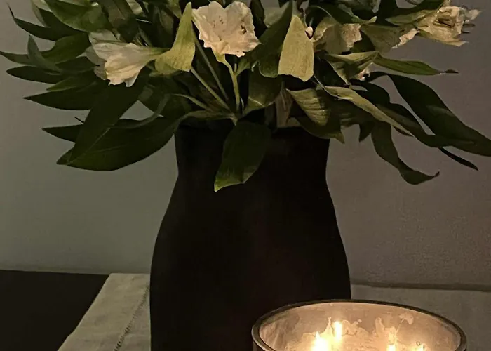 Wapienna 아파트 *