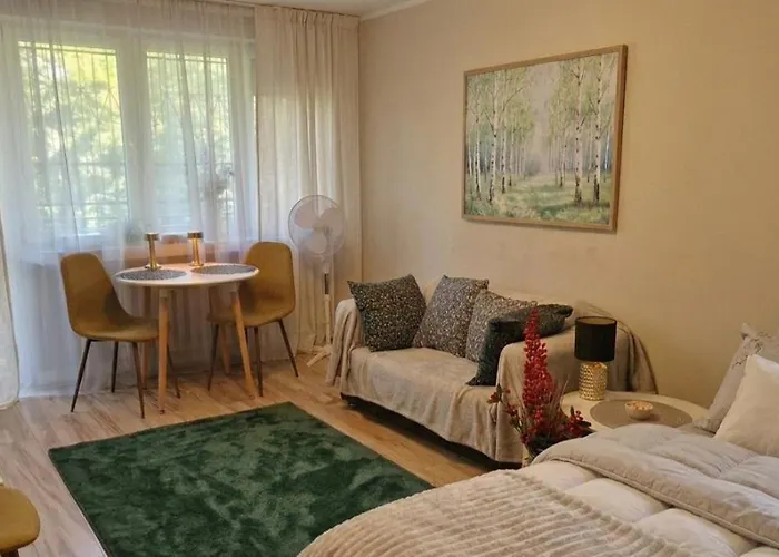 Wapienna 아파트 *